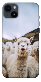 Чехол на Apple iPhone 14 Plus (6.7") Лама фото 1 из 1