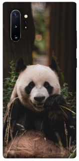 Чехол на Samsung Galaxy Note 10 Plus Панда фото 1 из 1