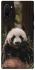 Чехол на Samsung Galaxy Note 10 Plus Панда фото 1 из 1