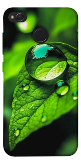 Чехол на Xiaomi Redmi 4X Flowers v16 фото 1 из 1