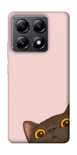 Чехол на Xiaomi 14T Peeping cat фото 1 Чехол на Xiaomi 14T Peeping cat фото 1 из 1