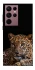 Чехол на Samsung Galaxy S22 Ultra Leopard v4 фото 1 из 1