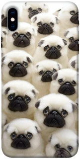Чохол на Apple iPhone X (5.8") Doggy Pug Love фото 1 з 1