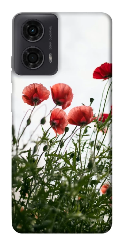 Чохол на Motorola Moto G04 Поле маків фото 1 з 1