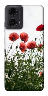 Чохол на Motorola Moto G04 Поле маків фото 1 з 1