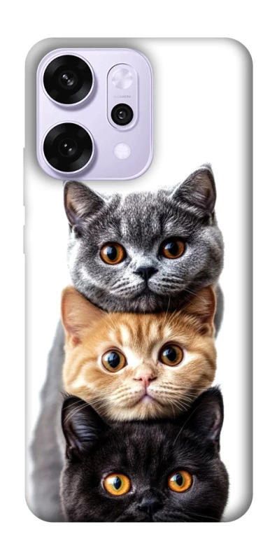 Чехол на Oppo Reno 14 Pro Красивые котики фото 1 из 1