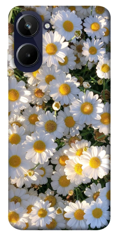 Чохол на Realme 10 4G Поле ромашок фото 1 з 1