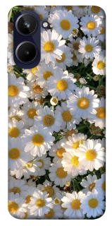 Чехол на Realme 10 4G Поле ромашек фото 1 из 1