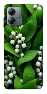 Чохол на Motorola Moto G14 Flowers v24 фото 1 з 1