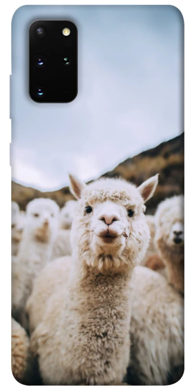 Чохол на Samsung Galaxy S20+ Лама фото 1 з 1