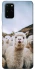 Чохол на Samsung Galaxy S20+ Лама фото 1 з 1