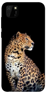 Чехол на Huawei Y5p Leopard v2 фото 1 из 1