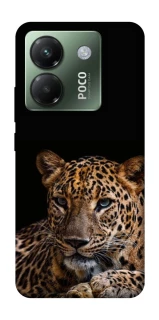 Чехол на Xiaomi Poco M7 pro 5G Leopard v4 фото 1 из 1