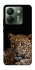 Чехол на Xiaomi Poco M7 pro 5G Leopard v4 фото 1 из 1