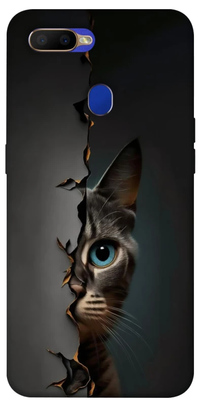 Чехол на Oppo A5s Кот-подглядыватель v2 фото 1 из 1