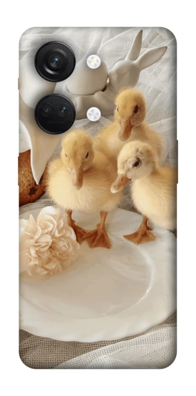 Чохол на OnePlus Nord 3 Easter Vibes фото 1 з 1