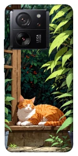 Чехол на Xiaomi 13T Pro red cat фото 1 из 1