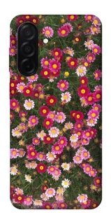 Чехол на Samsung Galaxy A26 5G Flowers v8 фото 1 из 1