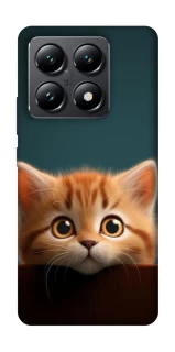 Чохол на Xiaomi 14T Чохол Кошеня фото 1 з 1