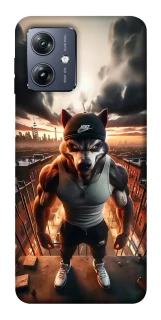 Чохол на Motorola Moto G54 Вовк фото 1 Чохол на Motorola Moto G54 Вовк фото 1 з 1