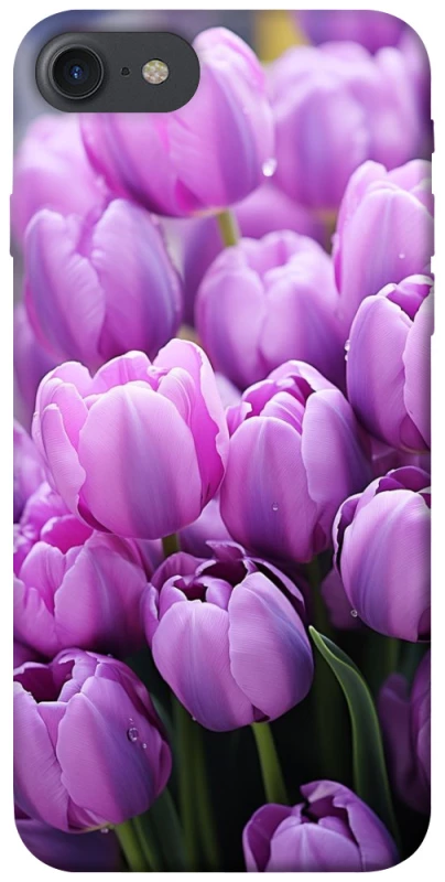 Чохол на Apple iPhone 7 / 8 (4.7") Фіолетові тюльпани фото 1 з 1