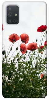 Чохол на Samsung Galaxy A71 Поле маків фото 1 з 1