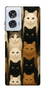 Чехол на Motorola Edge 50 Fusion Colorful Cat Collage фото 1 Чехол на Motorola Edge 50 Fusion Colorful Cat Collage фото 1 из 1