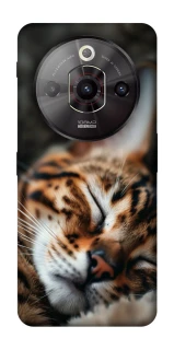 Чехол на ZTE Nubia Focus Pro Cat paws фото 1 из 1