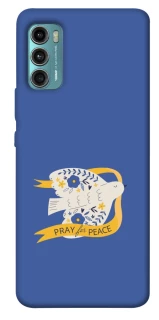 Чохол на Motorola Moto G60 Ластівка фото 1 з 1