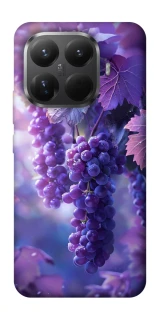 Чехол на Xiaomi 15T Pro Bunch of grapes фото 1 из 1