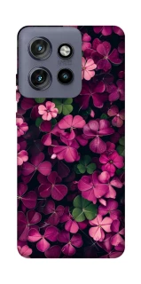 Чохол на Motorola Edge 50 Neo Flowers v7 фото 1 з 1