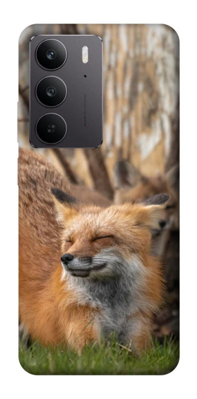 Чехол на Realme C75 Лиса фото 1 из 1