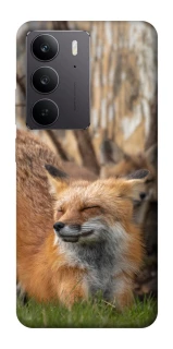 Чехол на Realme C75 Лиса фото 1 из 1