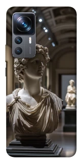 Чехол на Xiaomi 12T / 12T Pro statue фото 1 из 1