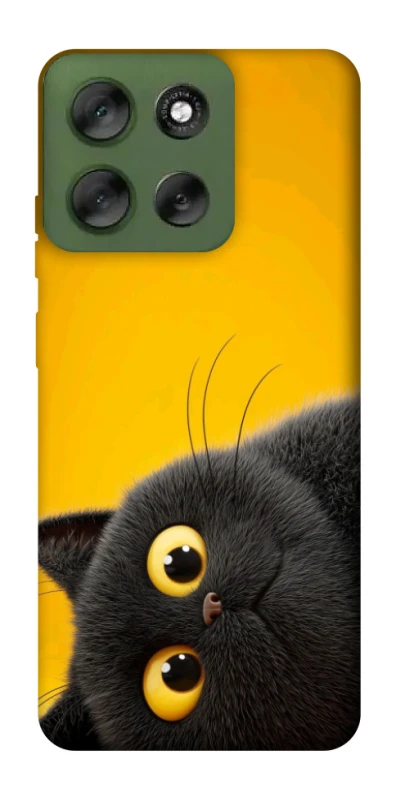 Чохол на Motorola Moto G56 5G This is Cat фото 1 з 1