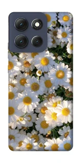 Чохол на Motorola Moto G86 Поле ромашок фото 1 Чохол на Motorola Moto G86 Поле ромашок фото 1 з 1