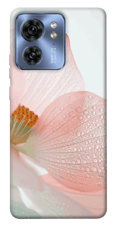 Чохол на Motorola Edge 40 Flowers zon фото 1 Чохол на Motorola Edge 40 Flowers zon фото 1 з 1