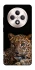 Чохол на Oppo Reno 12 F 4G/5G Leopard v4 фото 1 з 1