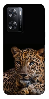 Чохол на OnePlus Nord N20 SE Leopard v4 фото 1 з 1