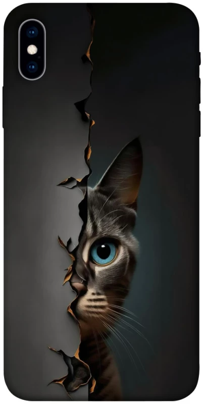 Чохол на Apple iPhone X (5.8") Кіт-підглядач v2 фото 1 з 1