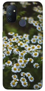 Чехол на OnePlus Nord N100 Ромашки v13 фото 1 из 1
