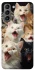 Чехол на Samsung Galaxy S21 Коты фото 1 из 1