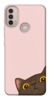 Чохол на Motorola Moto E40 Peeping cat фото 1 з 1