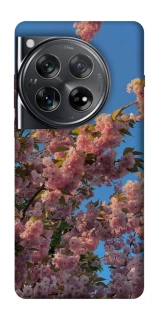 Чехол на OnePlus 12 Flowers v4 фото 1 из 1