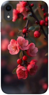 Чехол на Apple iPhone XR (6.1") Flowers v28 фото 1 из 1