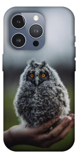 Чехол на Apple iPhone 16 Pro Max Совёнок фото 1 из 1