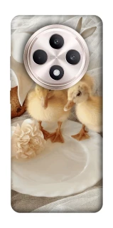 Чохол на Oppo Reno 12 F 4G/5G Easter Vibes фото 1 з 1