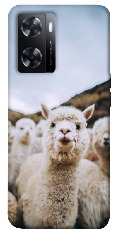 Чехол на Oppo A57s Лама фото 1 из 1