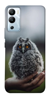 Чехол на Infinix Hot 12i Совёнок фото 1 из 1