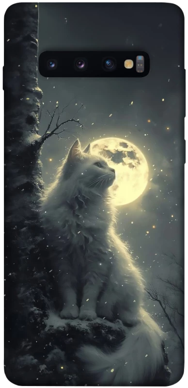 Чохол на Samsung Galaxy S10+ Кіт під місяцем фото 1 з 1